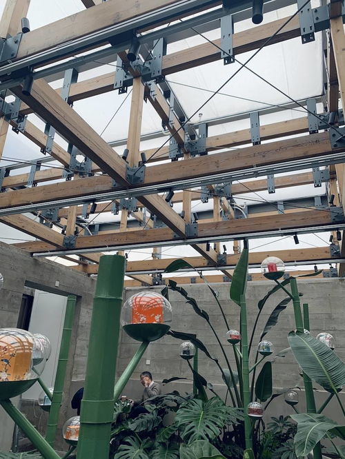 上?？Х戎?百年皂廠變身白七咖啡廳,給城市留下溫暖記憶