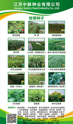 深耕苗木種植，專業(yè)咨詢服務(wù)助力綠色產(chǎn)業(yè)發(fā)展